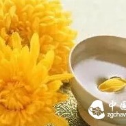 Drinking Chrysanthemum Tea Has Many Benefits