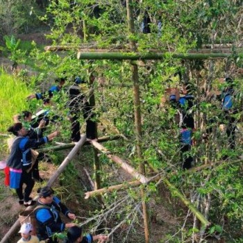 Puer-s Jiangcheng Nationality Township: Spring Breeze on the Tea Mountain—Busy Tea Farmers in Laoyuzhai Village
