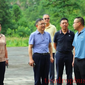 Chairman Lu Pengfei of the District CPPCC Conducts Field Research on Tea Industry Development and Workstation Construction in Houping and Tongzi