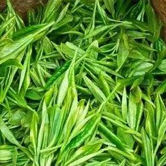 Attention! Spring Tea Has Many Traps, Buy Tea with Caution!