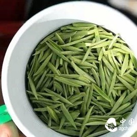 Understanding Green Tea and Drinking Precautions