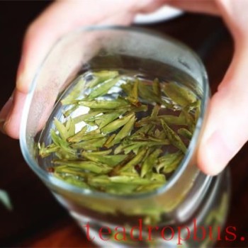 Female Friends Drinking Tea: Pay Attention to These 8 Details