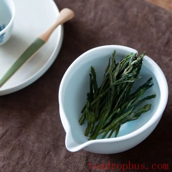 What Kinds of Tea Should a Beginner Try?