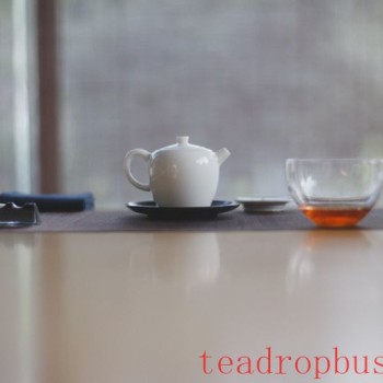 6 Essential Tea Tools for Every Tea Lover-s Tray – Do You Have Them All?
