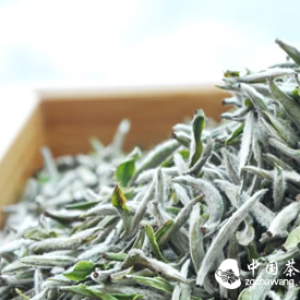 Pre-Qingming Silver Needle White Tea, Special Grade White Peony