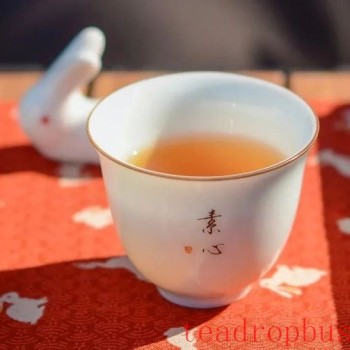 The Start of Spring, Initiate an Urban Wanderlogue with a Tea Session