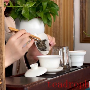 How Many Times Should Raw Pu-er Tea Be Rinsed
