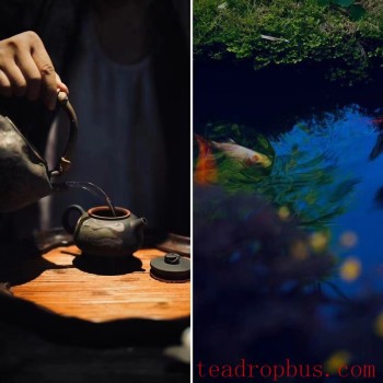 Approaches to Enjoying Aged Pu-er Tea