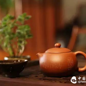 Amazing Antioxidant Data: 1 Cup of Tea Equals 12 Bottles of White Wine