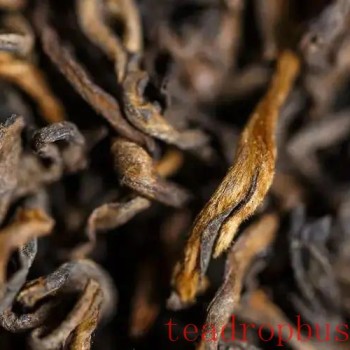 How should Pu-er be drunk? Which type of purple clay pot is more suitable?