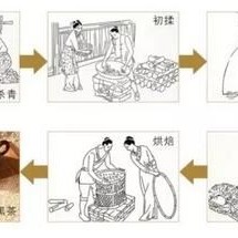 Sharing Black Tea Knowledge, Embracing the Way of Health!