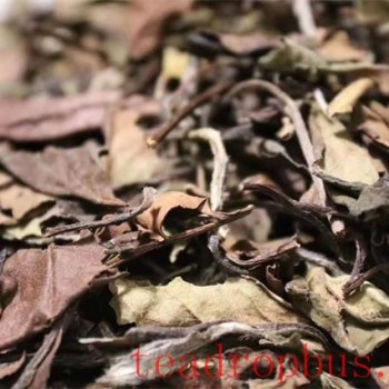 # The Way of White Tea: Exploring the Rich Aroma and Mystique of Aged White Tea