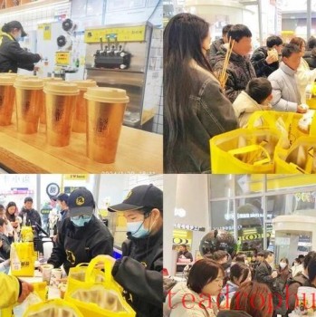 The Scale of China-s Tea Beverage Industry Will Further Expand