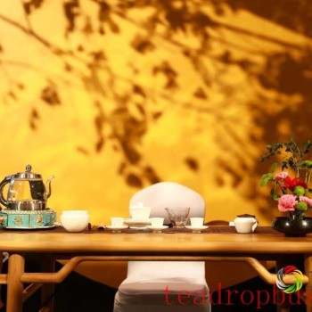 Comprehensive Guide to Tea Utensils! See What-s Missing from Your Tea Setting!