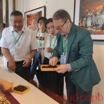 Major Central Media Focus on the Douyun Maojian Tea Conference