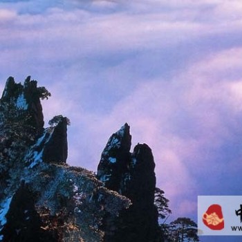 The Legend of Black Tea