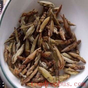 Asbestos Eagle Tea