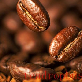 Robusta Rises