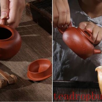 Nourishing a Teapot: How Long Does It Take to See Results?