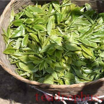 Differences and Comparisons Between Spring, Summer, and Autumn Pu-er Tea