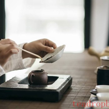 The Correct Way to Brew Pu-er Ripe Tea for a Richer Aroma