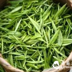 One Technique in Hand, Brew All Teas Under Heaven