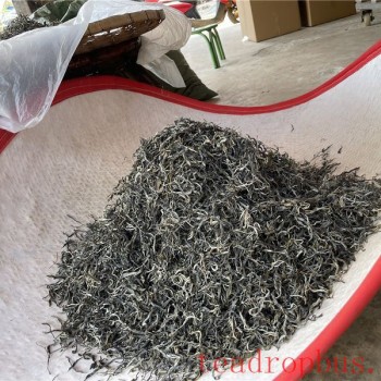Puer Loose Tea and Compressed Tea: Interwoven Yet Distinct