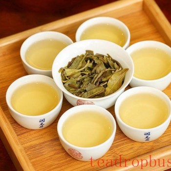 How to Properly Brew Pu-er Shengcha?