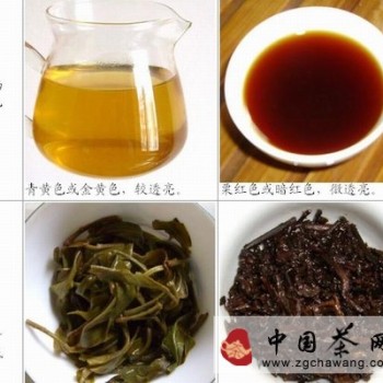 The Difference Between Raw Tea and Ripe Tea - Which is Better, Raw Tea or Ripe Tea?