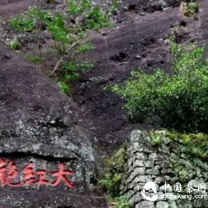 Dahongpao actually has so many benefits, come and drink tea!