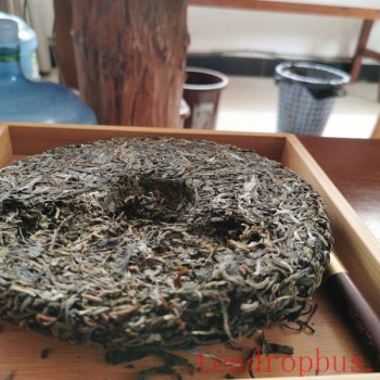 Storing Leftover Tea