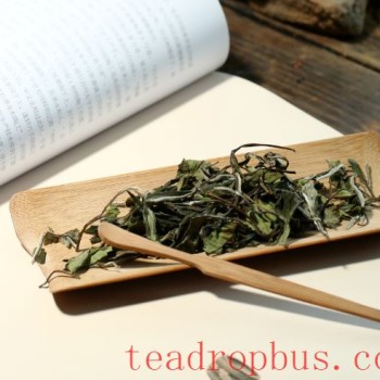 Which is Better in White Tea: Loose Leaf or Cake?