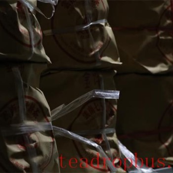 Puer Tea Storage Methods for Home Use!