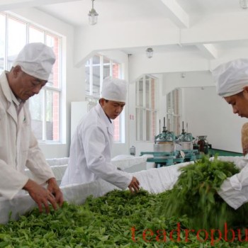 Chinese Tea, Fragrant at Home and Abroad