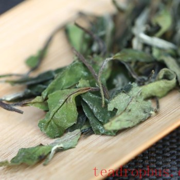 Basic Knowledge of White Tea: What is White Tea? What are the Types of White Tea?