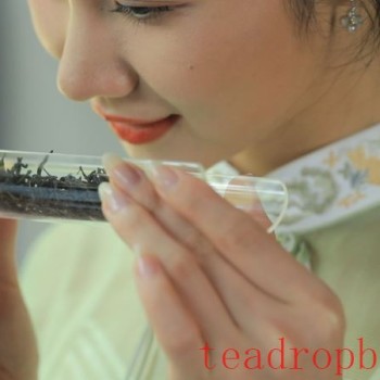 Judging Tea by Its Broth: Tasting Wuyi Rock Tea This Way!