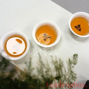 Can Children Drink Tea? A Must-Read for Parents