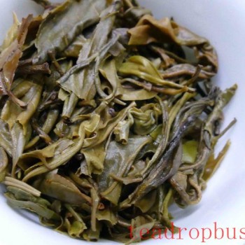 Should the Tea Infusion Be Completely Drained When Brewing Tea?