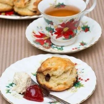 World Tea Culture (Americas Edition) — Canadian Tea Culture