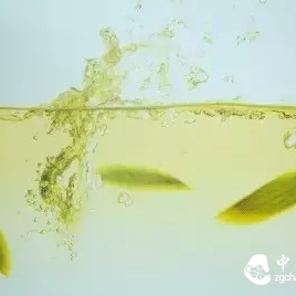 Cold Brew Tea - A Little Freshness in Summer