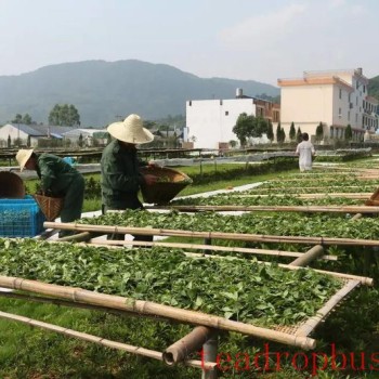The "Skill" and "Art" in the Production of Yancha—Also Discussing "Traditional Handicraft" in Intangible Cultural Heritage (Part Four)