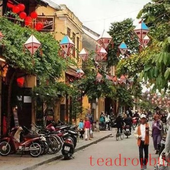 The Serious and Leisurely Tea Drinking in Vietnam