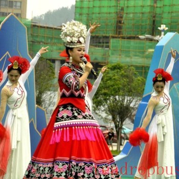 "Sangzhi White Tea" Builds a Geographical Brand