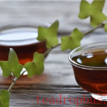 Revitalizing and Soothing? The Contradictory Pu-er Tea: How to Drink It?