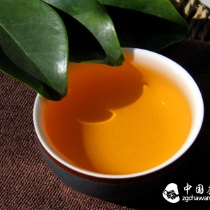The Taboos of Pu'er: Do Those Who Love Her Know Them?