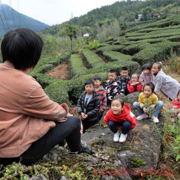 Donghu Commentary: The Yihong Girls, Harvesting and Writing Legends
