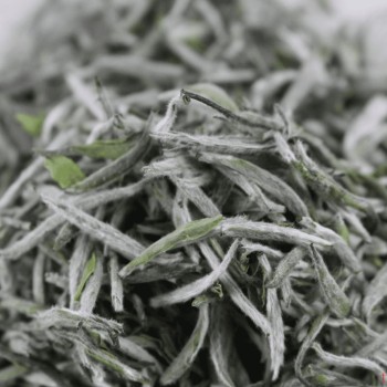 Where in China is White Tea Produced? Exploring the Hometown of Chinese White Tea
