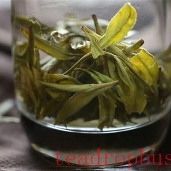How Many Times Can You Steep a Cup of Tea?