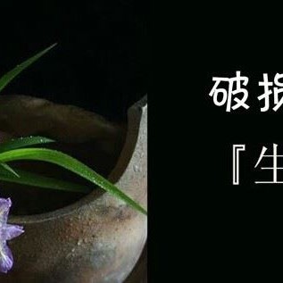 Broken Tea Ware Can Also Blossom