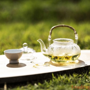 How to Make Flower Tea? Come and Enjoy the Fun of Making Your Own Flower Tea